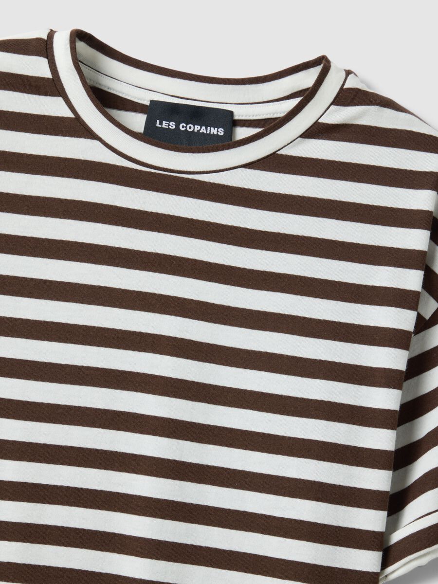 Regular fit multicolour striped cotton t-shirt_1