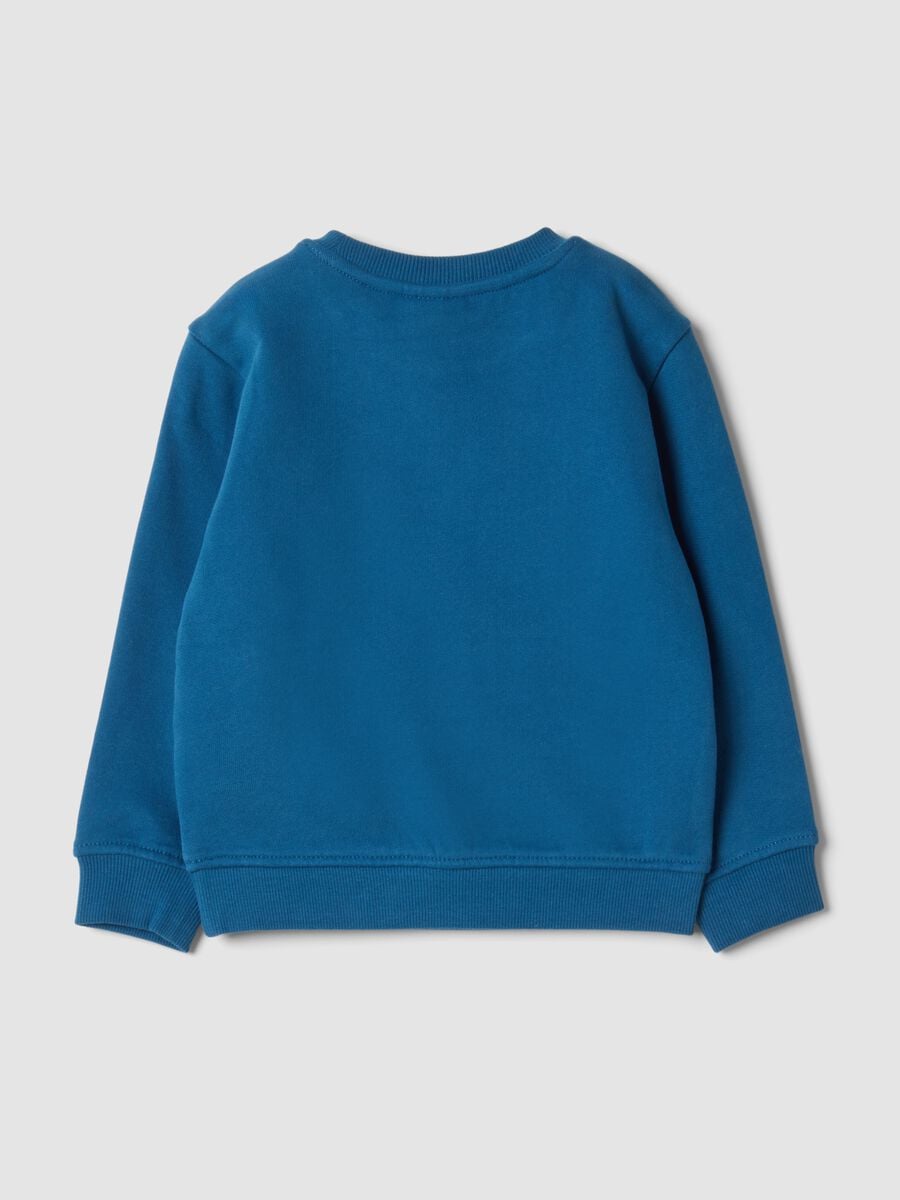 Blaue Sweatshirt mit Rundhalsausschnitt aus reiner Bio-Baumwolle_1
