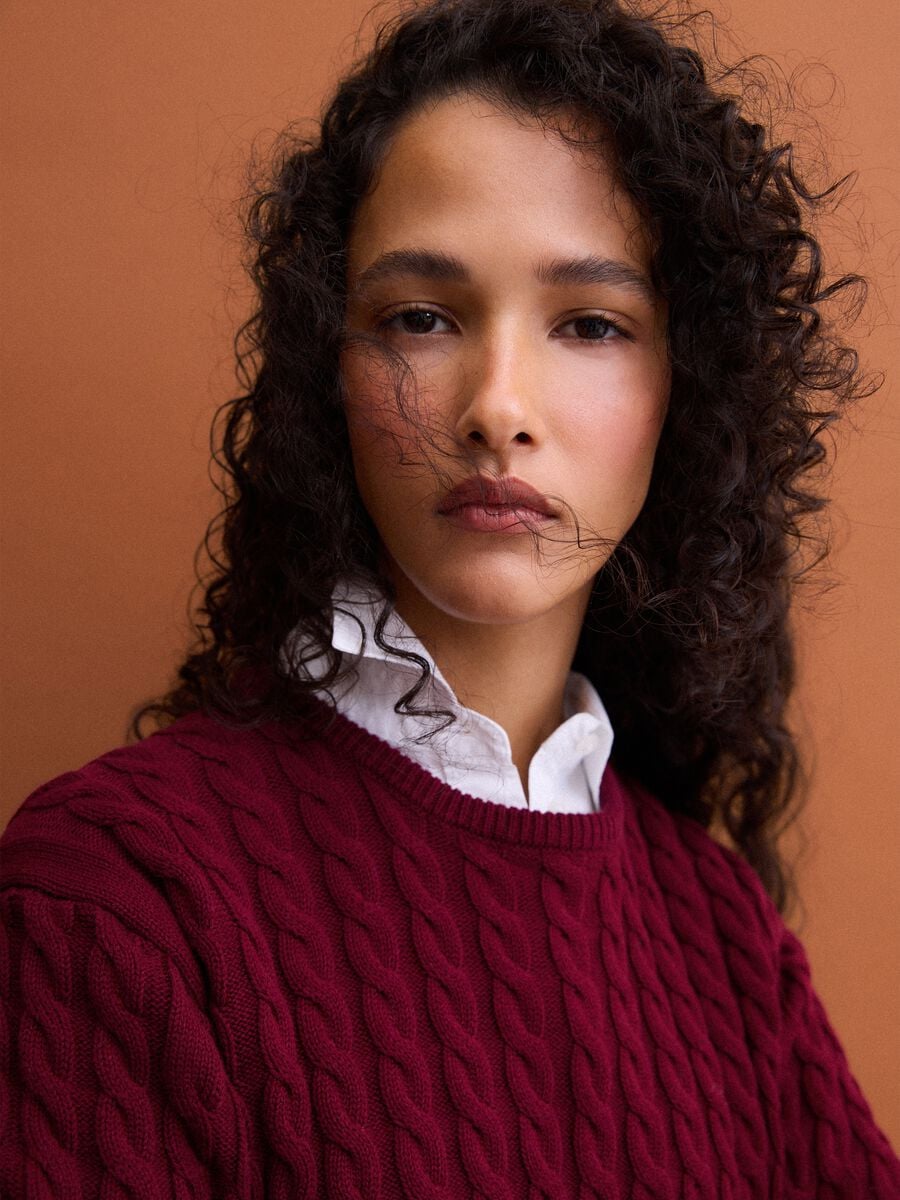 Red crew-neck pure cotton cable-knit jumper, regular fit_1