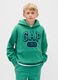 Gr&uuml;ner Kapuzenpullover f&uuml;r Kinder_0