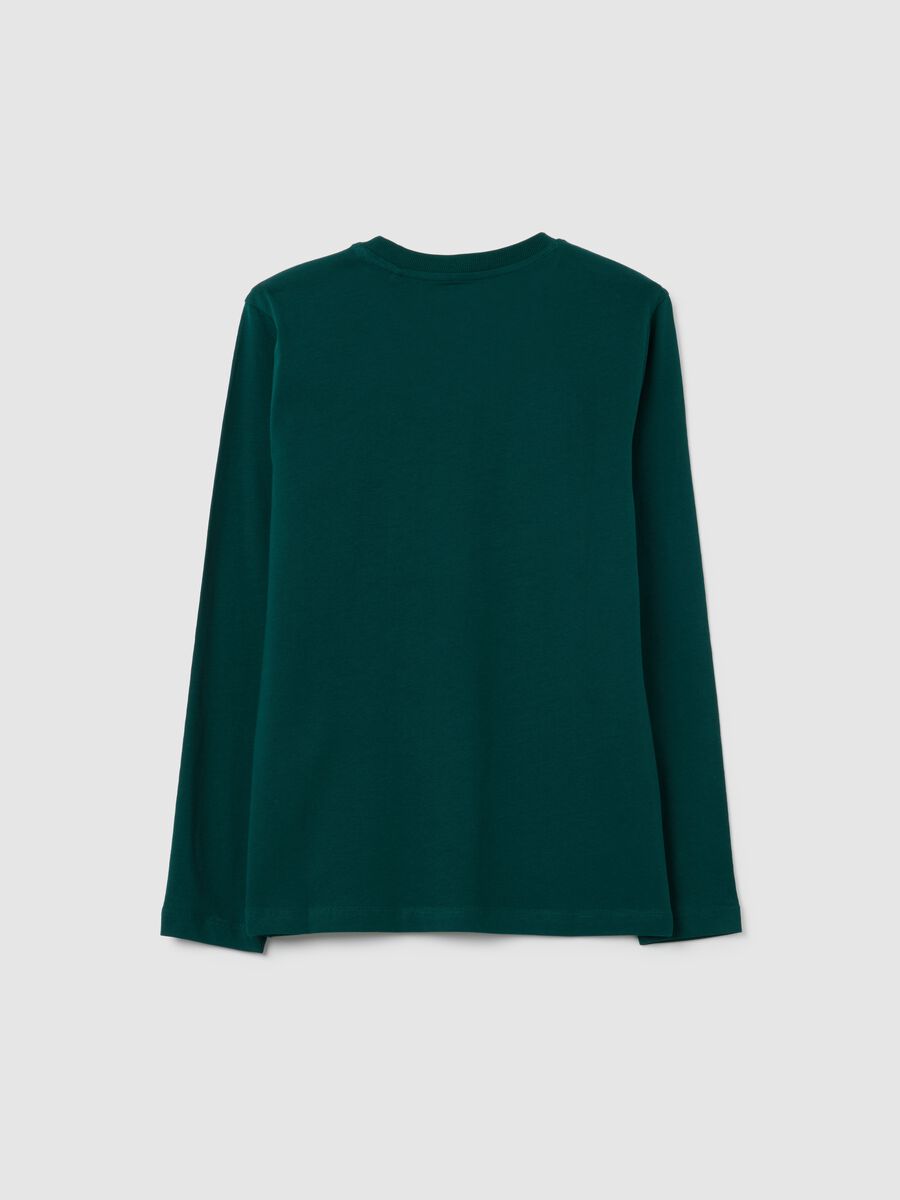 Boys' Pure Cotton Green Long Sleeve Top_4