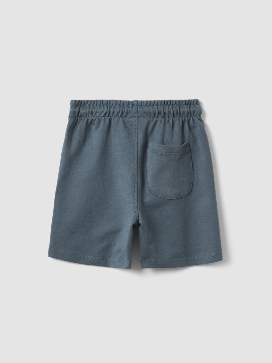 Blue pure cotton regular fit shorts for boys_1