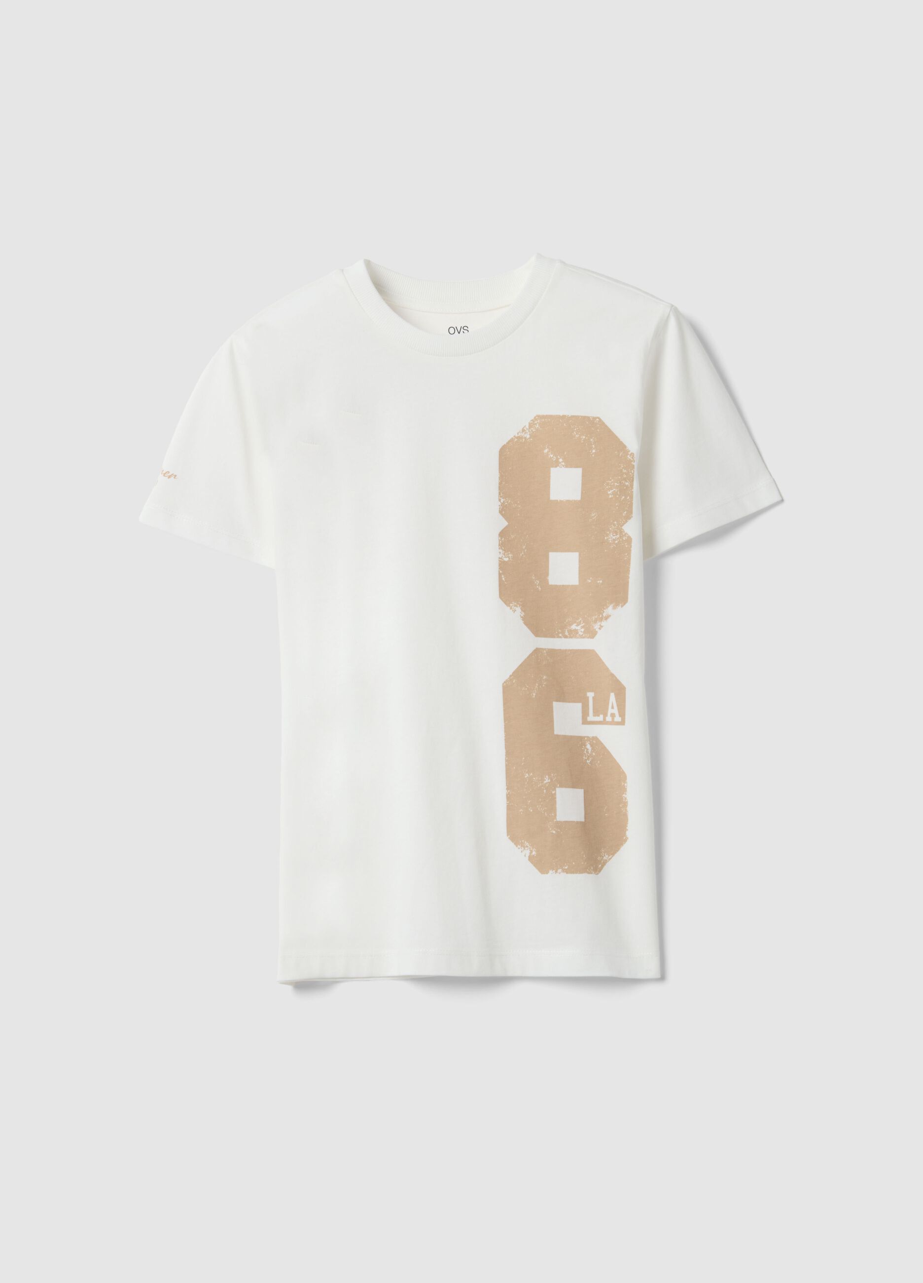 Boys' regular fit white pure cotton T-shirt with print