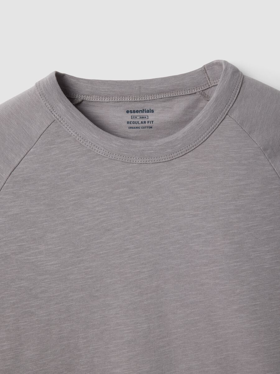 Grey pure cotton regular fit t-shirt_5
