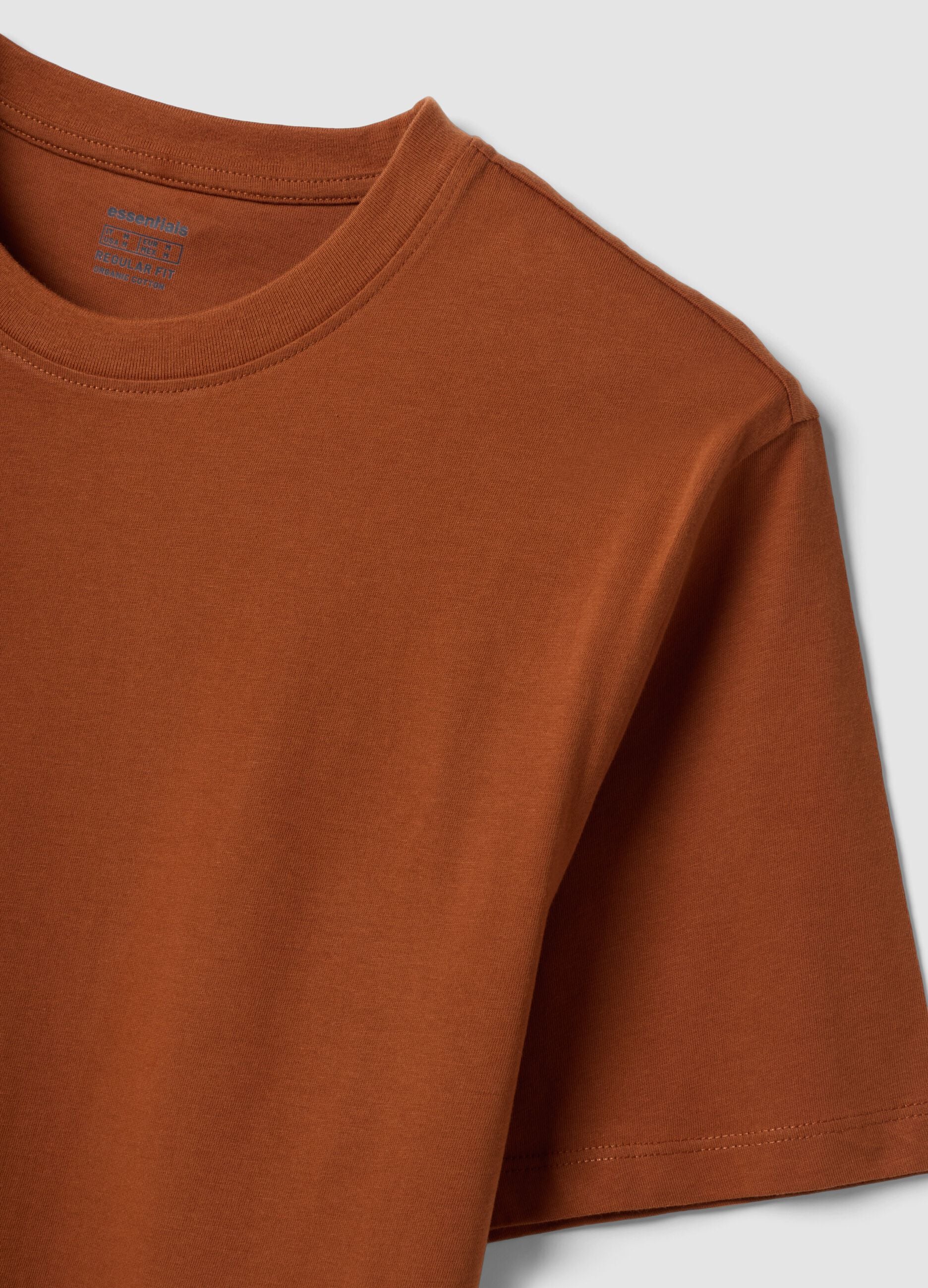 Brown regular-fit T-shirt in pure organic cotton jersey