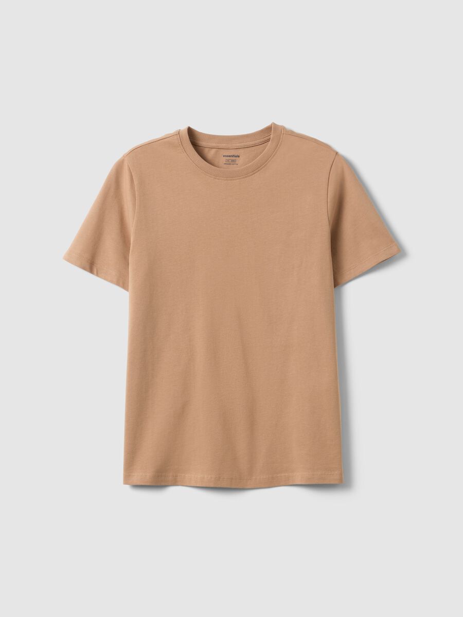 Brown pure cotton crew neck t-shirt regular fit_0