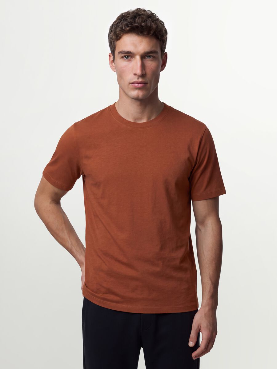 Brown regular-fit T-shirt in pure organic cotton jersey_0
